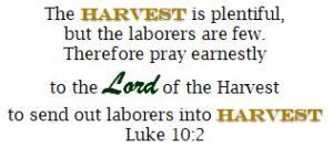 The Harvest is Plentiful, but the Laborers are few. Therefore pray earnestly to the Lord of the Harvest to send out Laborers into Harvest Luke 10-2